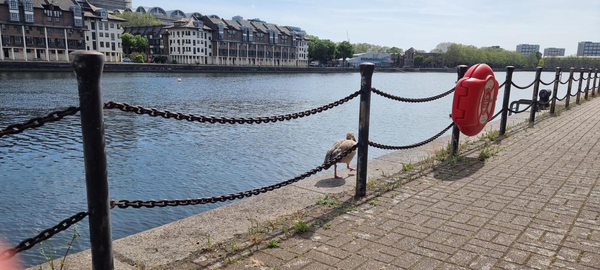 Riverside 3Br With Easy Transport 20Mins To City Centre Londra Dış mekan fotoğraf