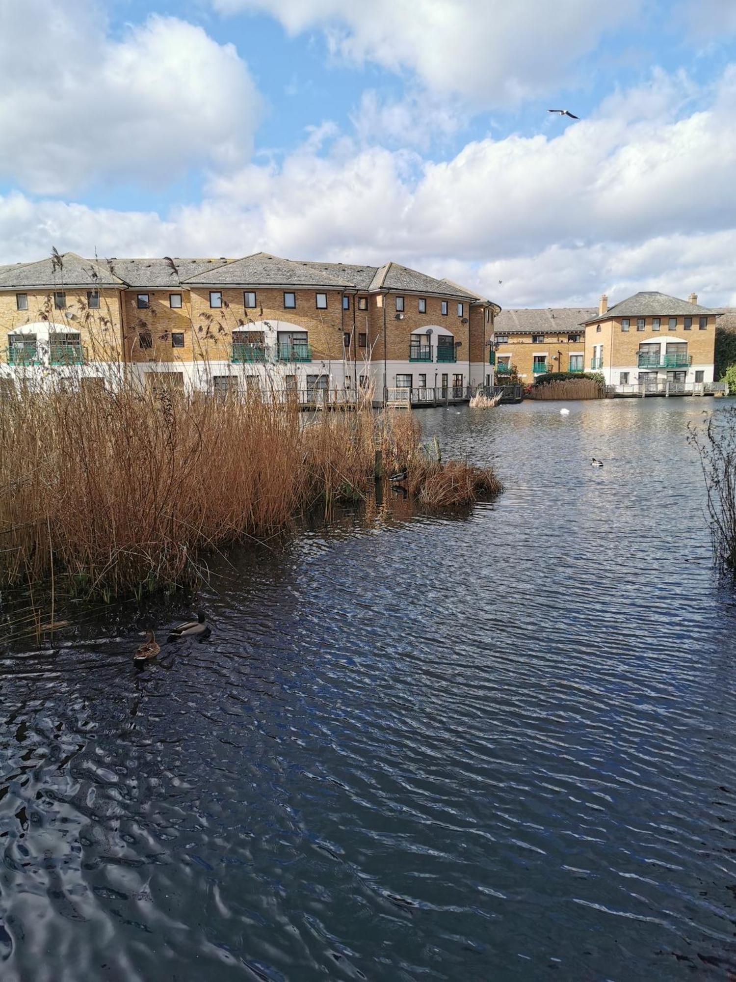 Riverside 3Br With Easy Transport 20Mins To City Centre Londra Dış mekan fotoğraf